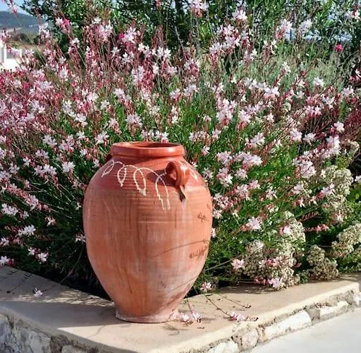 Jasmine House Σπίτι διακοπών