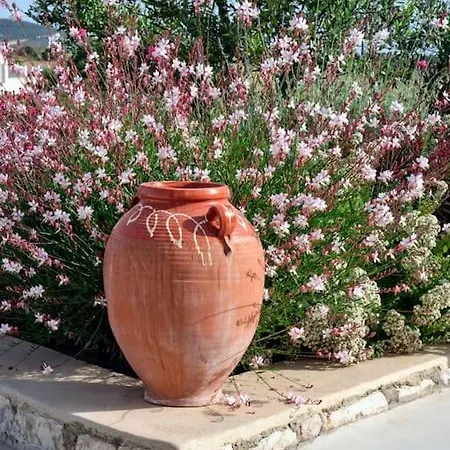 Jasmine House Dom wakacyjny